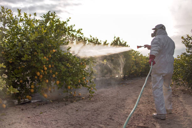 Best Best Pest Control Companies  in Fairfield Bay, AR