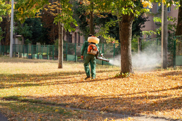 Pest Control for Restaurants in Fairfield Bay, AR