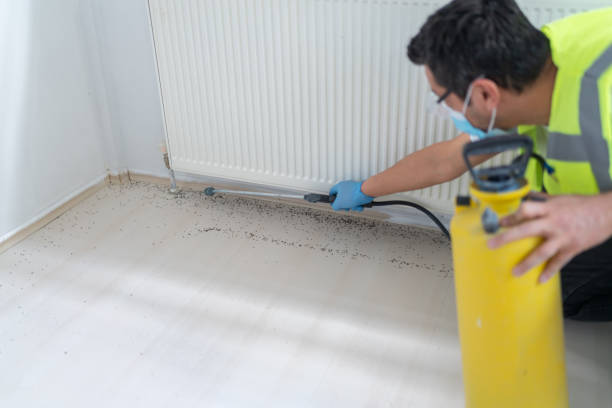 Best Pest Removal Services  in Fairfield Bay, AR